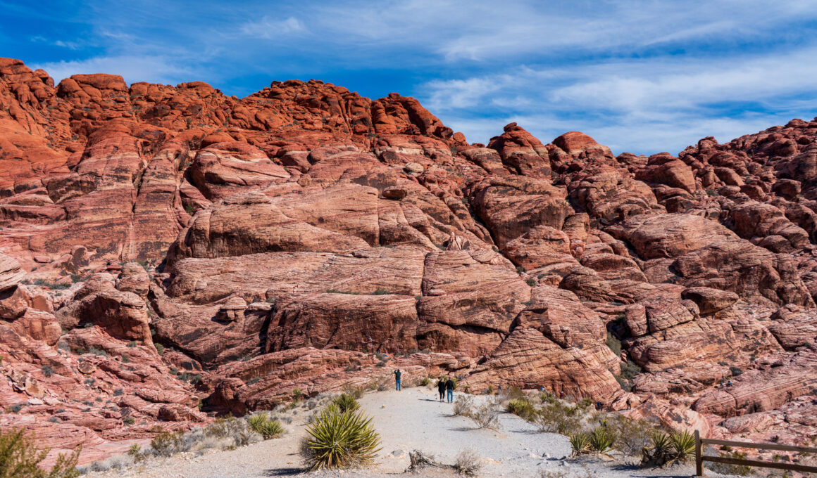 Red Rock Canyon Dinosaur Trails