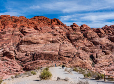 Red Rock Canyon Dinosaur Trails